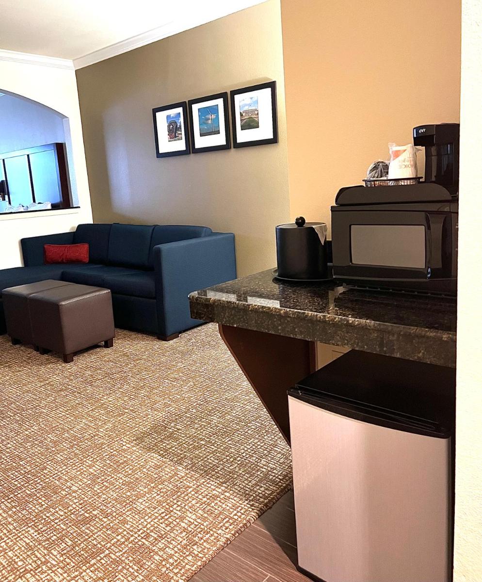 Comfort Suites Texas Avenue - image 5