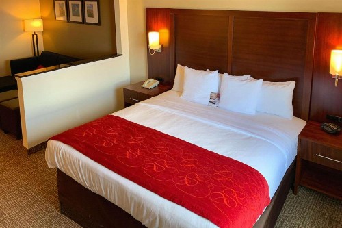 Comfort Suites Texas Avenue - image 6