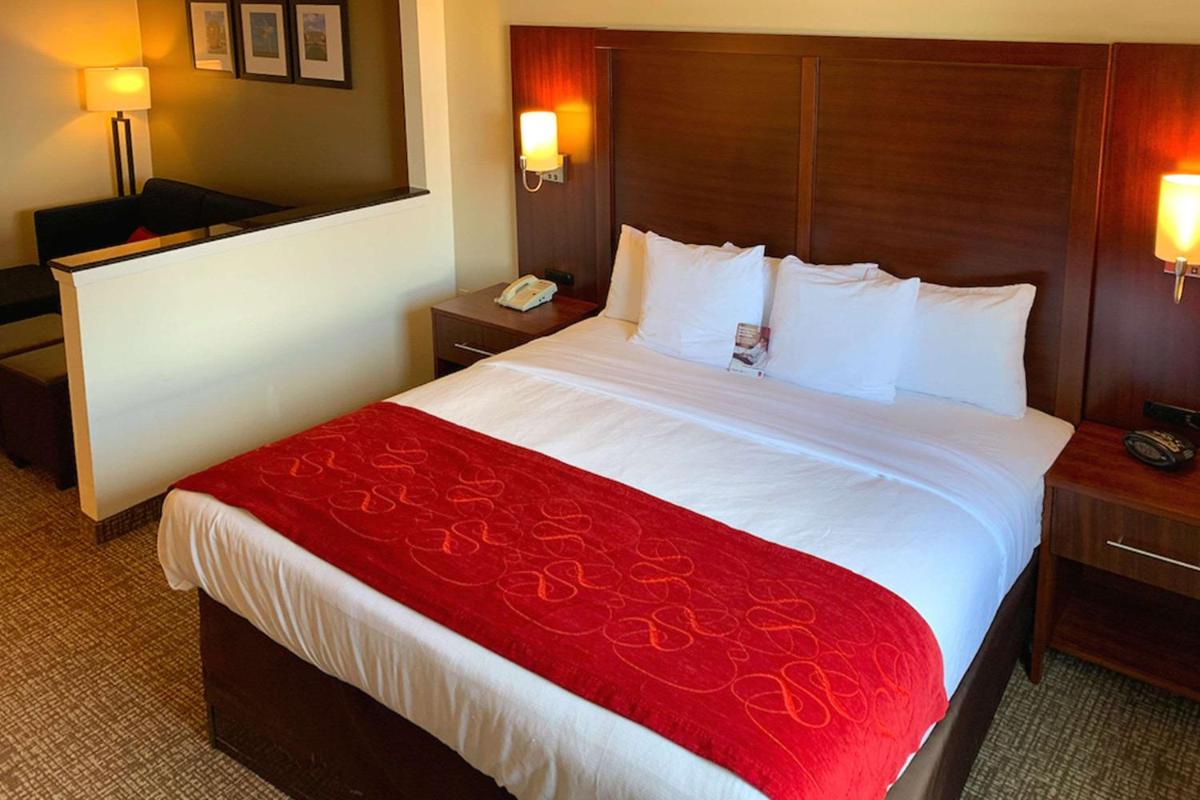 Comfort Suites Texas Avenue - image 6