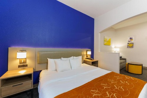 Comfort Suites University Drive - image 15