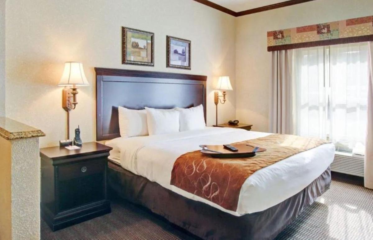 Comfort Suites University Drive - image 3