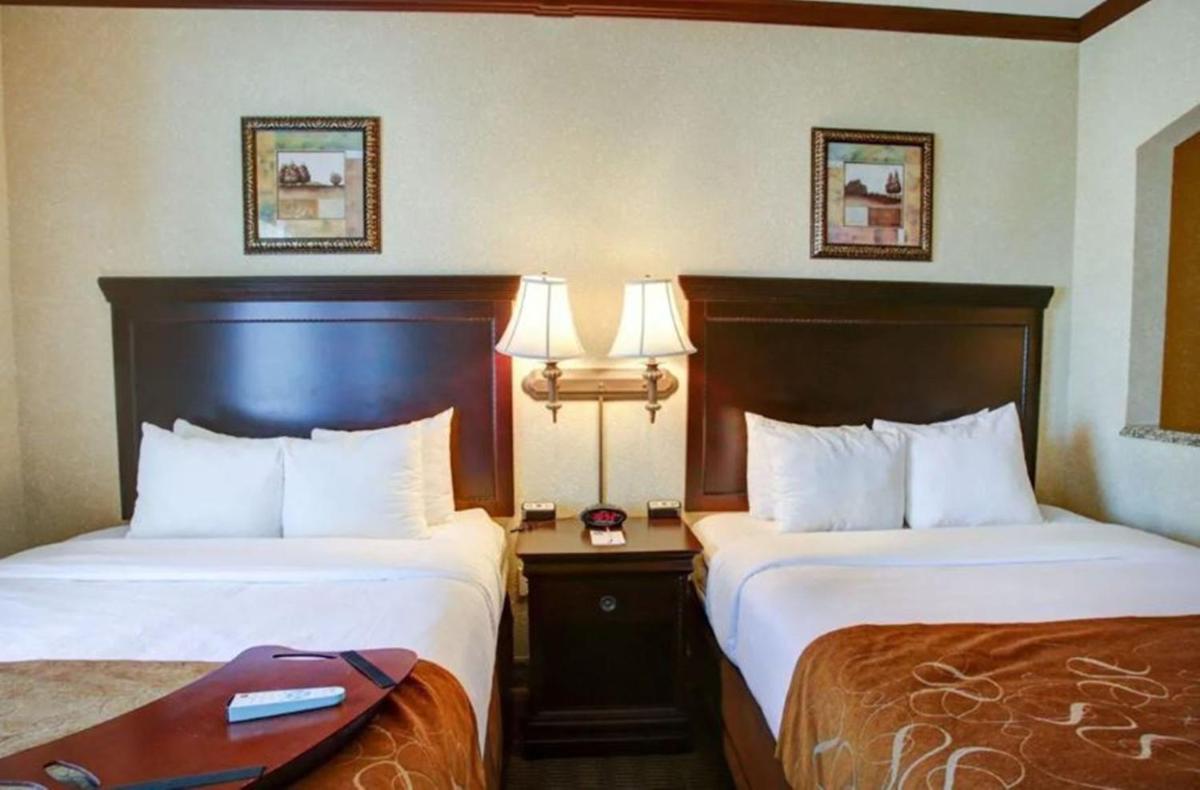 Comfort Suites University Drive - image 4