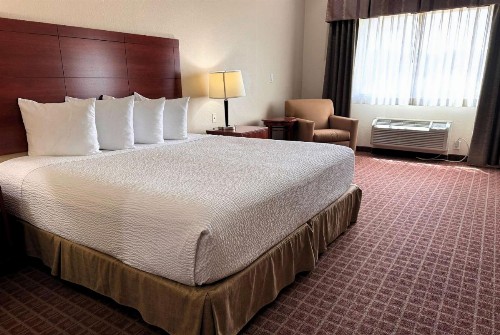 Ramada by Wyndham College Station - image 21