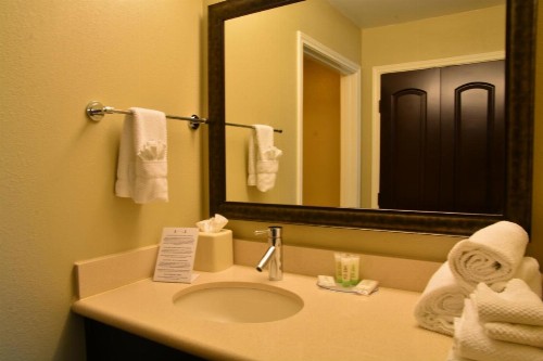 Staybridge Suites College Station an IHG Hotel - image 10