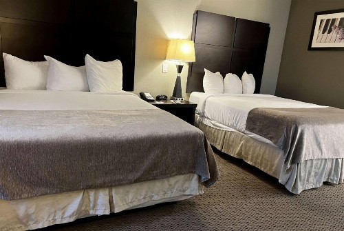 Baymont by Wyndham College Station - image 23