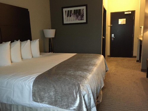 Baymont by Wyndham College Station - image 33