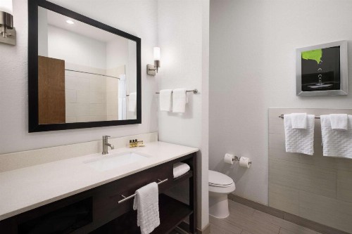 Best Western Plus College Station Inn & Suites - image 14