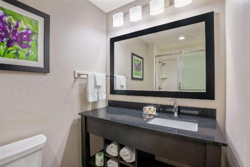 La Quinta by Wyndham College Station South - image 9