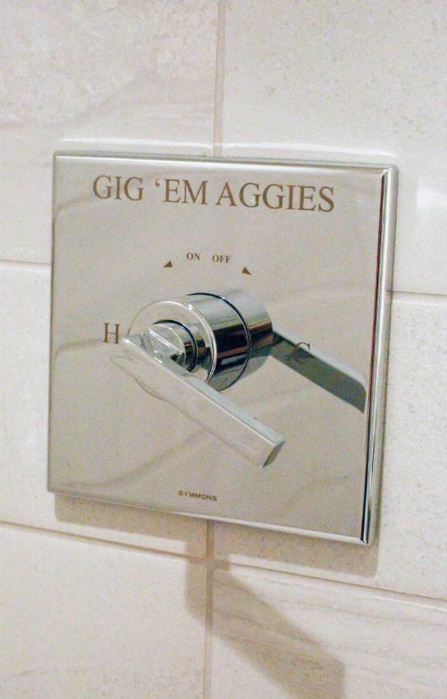 Texas A&M Hotel and Conference Center - image 17