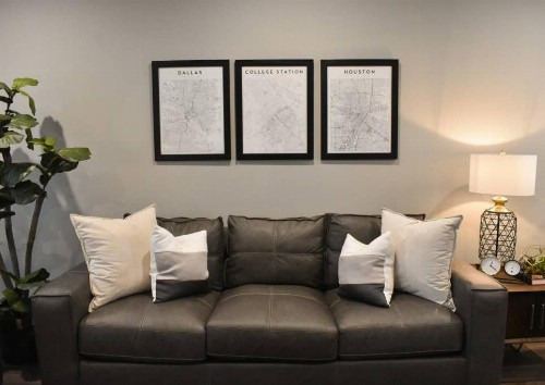 New Fully Furnished Condo in College Station #303