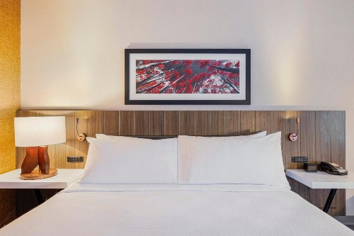 Hilton Garden Inn Colorado Springs Airport - image 27