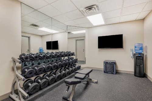 Hilton Garden Inn Colorado Springs Airport - image 6