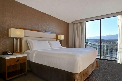 Embassy Suites Colorado Springs - image 25