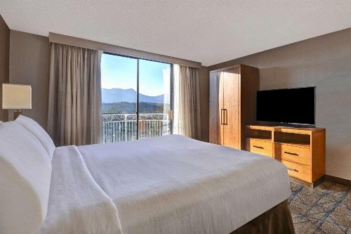 Embassy Suites Colorado Springs - image 27