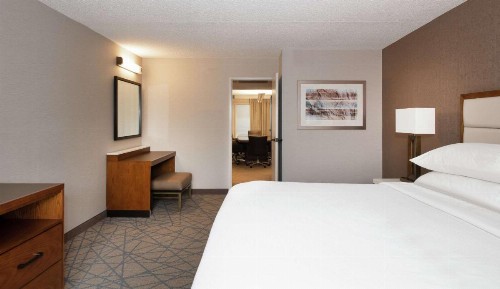 Embassy Suites Colorado Springs - image 42