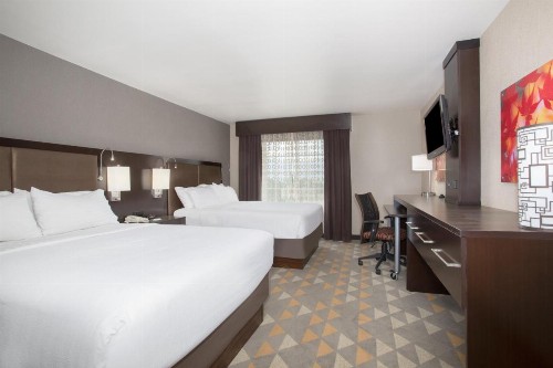 Holiday Inn Colorado Springs - Airport an IHG Hotel - image 27