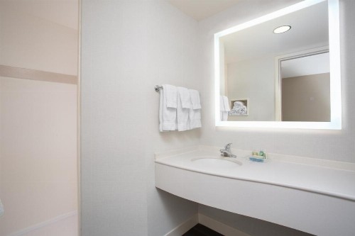 Holiday Inn Colorado Springs - Airport an IHG Hotel - image 39