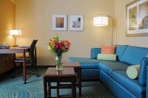 SpringHill Suites by Marriott Colorado Springs South - image 39
