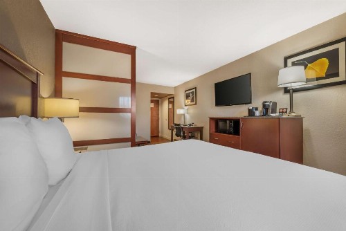 Best Western Plus Peak Vista Inn & Suites - image 19