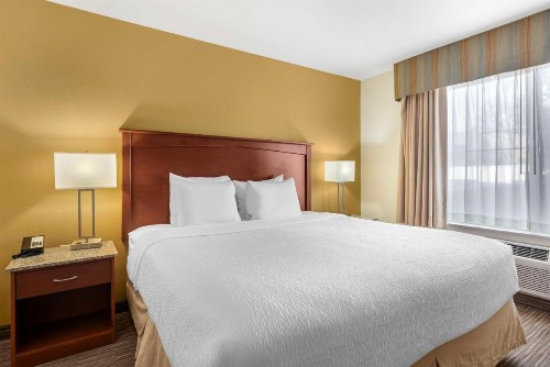 Best Western Executive Inn & Suites - image 22