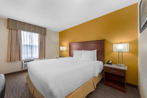 Best Western Executive Inn & Suites - image 39