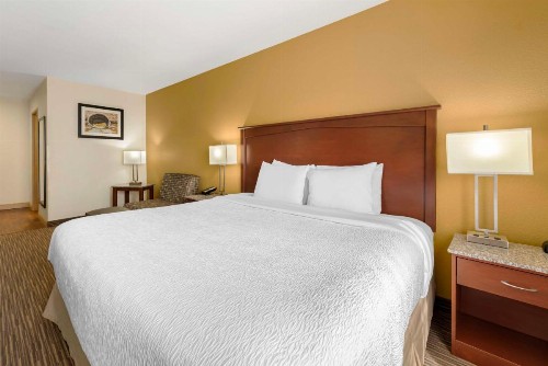Best Western Executive Inn & Suites - image 41