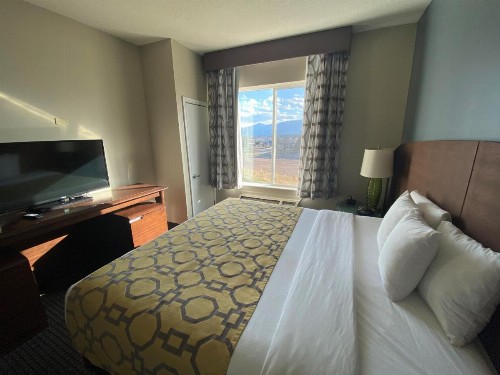 Baymont by Wyndham Colorado Springs - image 17
