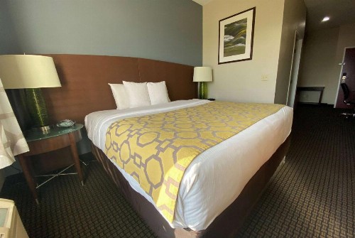 Baymont by Wyndham Colorado Springs - image 8
