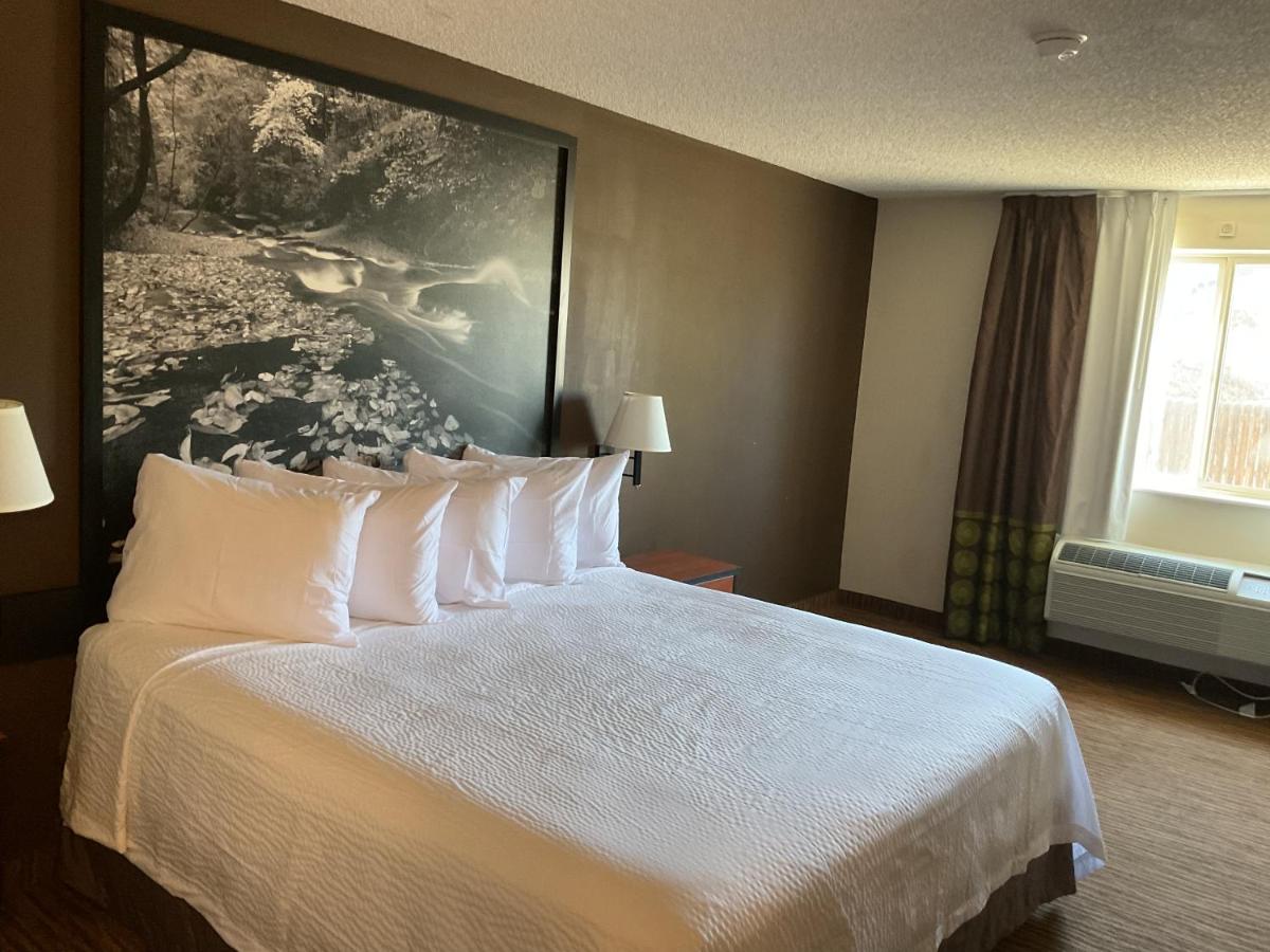 Super 8 by Wyndham Colorado Springs Airport - main image