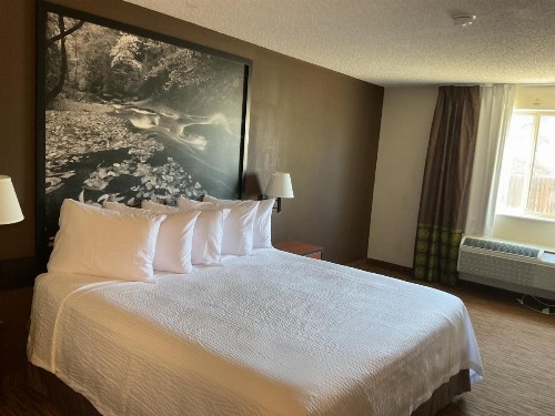 Super 8 by Wyndham Colorado Springs Airport - image 10