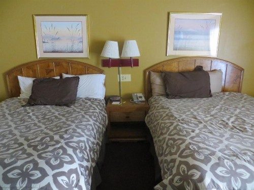 Days Inn by Wyndham Colorado Springs/Garden of the Gods - image 19