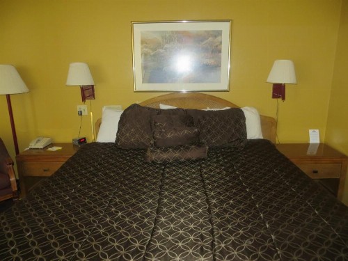 Days Inn by Wyndham Colorado Springs/Garden of the Gods - image 24