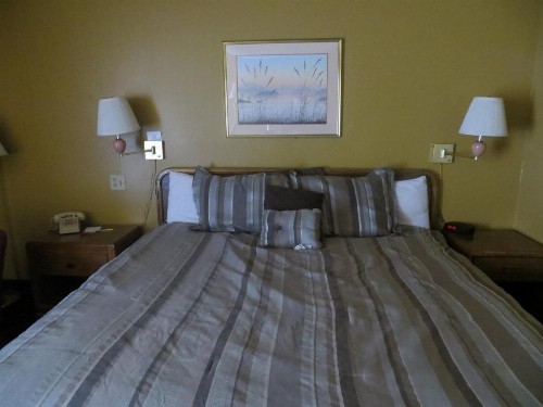 Days Inn by Wyndham Colorado Springs/Garden of the Gods - image 26