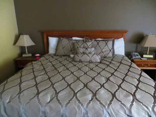Days Inn by Wyndham Colorado Springs/Garden of the Gods - image 38