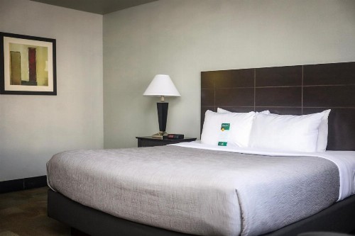 Quality Inn Colorado Springs Airport - image 12