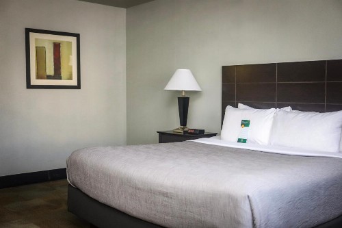 Quality Inn Colorado Springs Airport - image 30