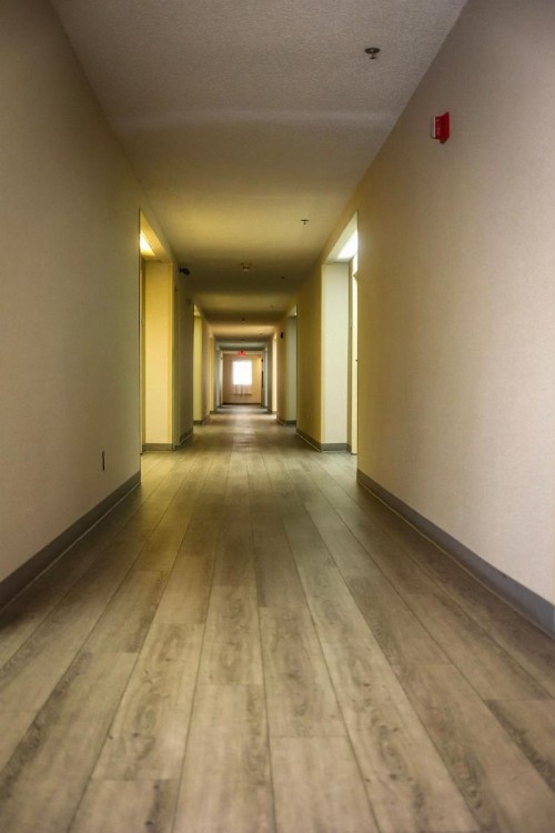 Quality Inn Colorado Springs Airport - image 9