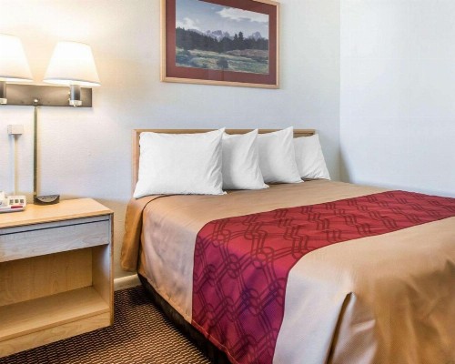 Econo Lodge Downtown Colorado Springs - image 10