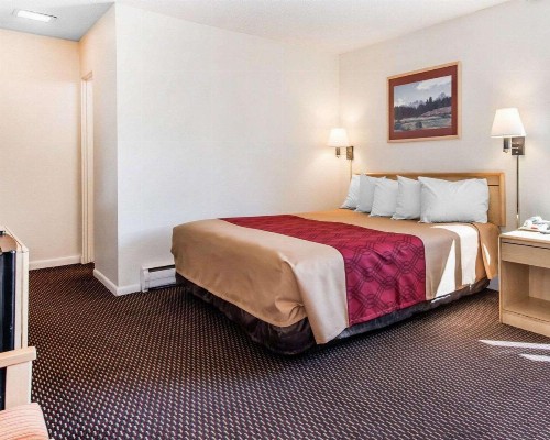 Econo Lodge Downtown Colorado Springs - image 28