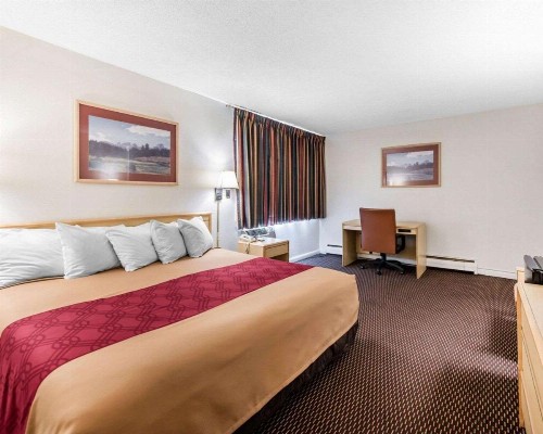 Econo Lodge Downtown Colorado Springs - image 29