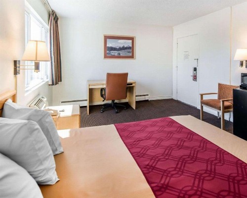 Econo Lodge Downtown Colorado Springs - image 30