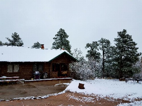 Black Forest Lodge - image 26