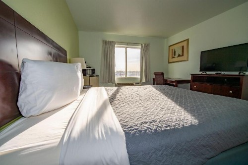 Rodeway Inn Central Colorado Springs - image 13
