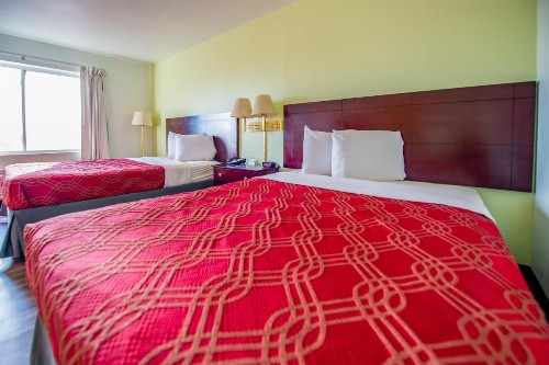 Rodeway Inn Central Colorado Springs - image 17