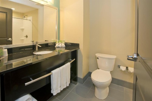 Holiday Inn Express Hotel & Suites Colorado Springs Downtown Central an IHG Hotel - image 16