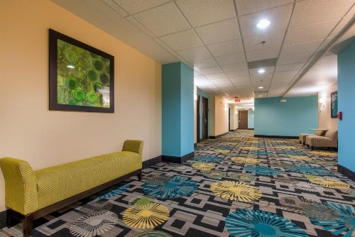 Holiday Inn Express Hotel & Suites Colorado Springs Downtown Central an IHG Hotel - image 31