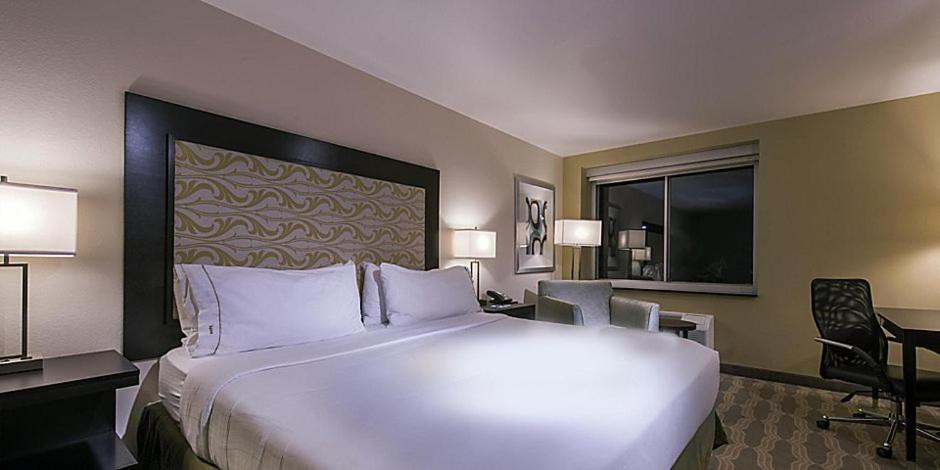 Holiday Inn Express Hotel & Suites Colorado Springs Downtown Central an IHG Hotel - image 5