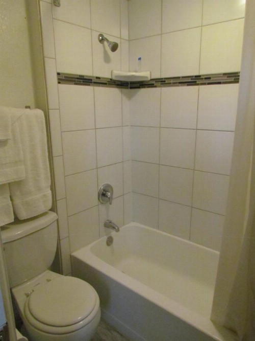 True North Motel - image 3