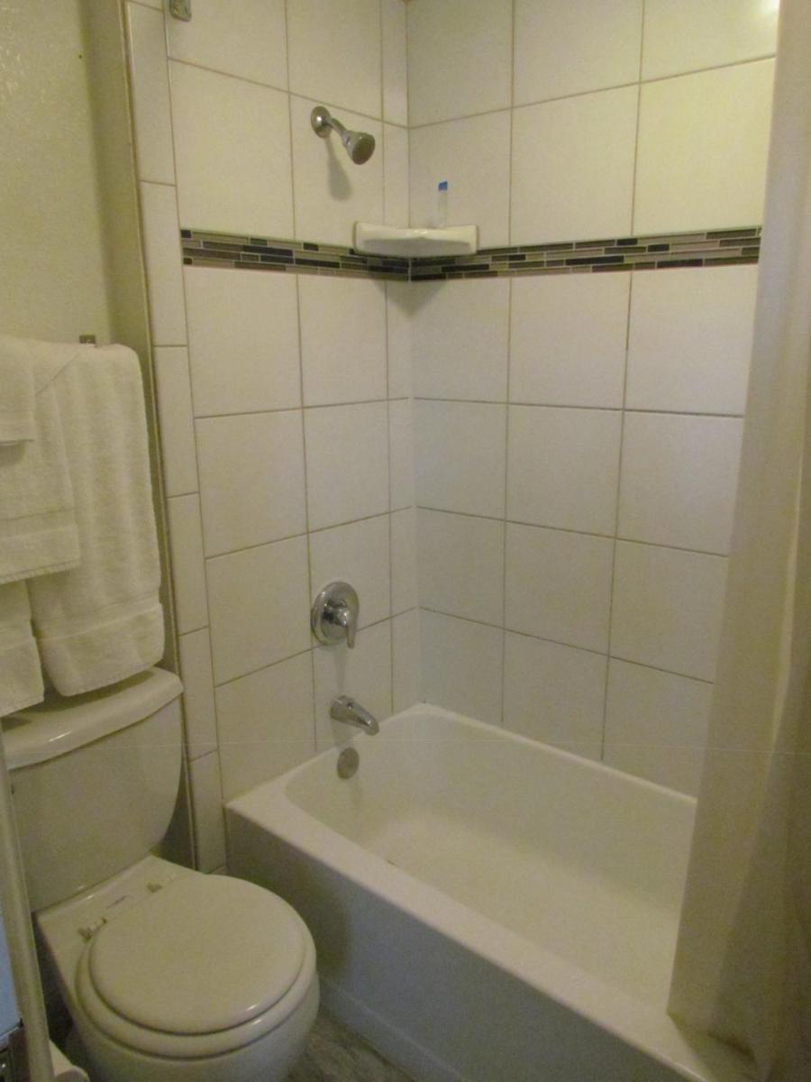 True North Motel - image 3