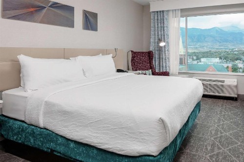 Hilton Garden Inn Colorado Springs Downtown Co - image 20